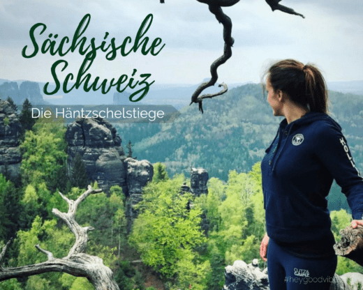 Sächsische Schweiz Häntzschelstiege
