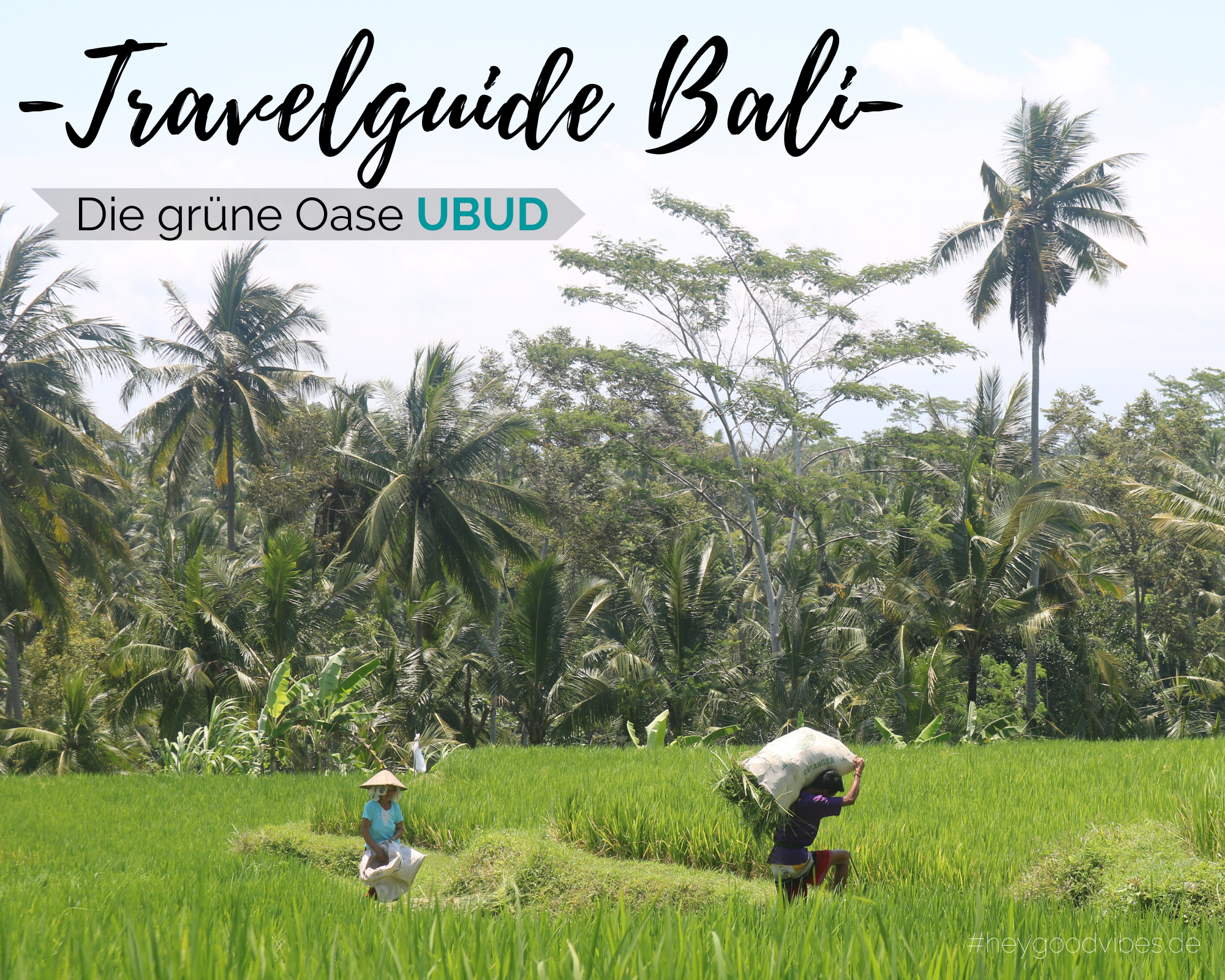 Travelguide Bali: Die grüne Oase UBUD